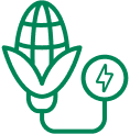 Biomass icon infographic