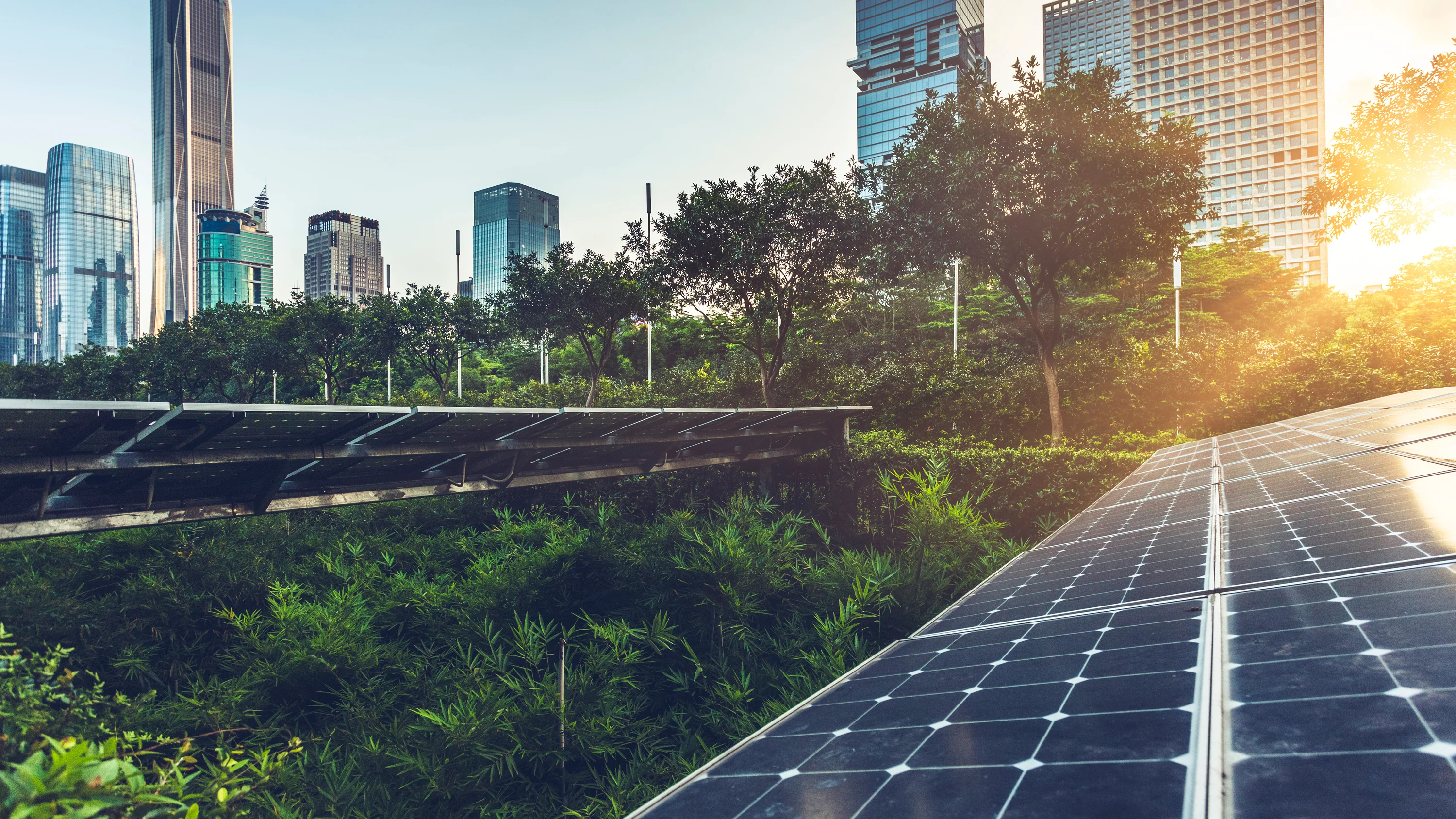 solar panels with a city on the background