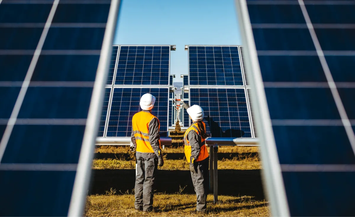 two workers analyzing a field of solar panels